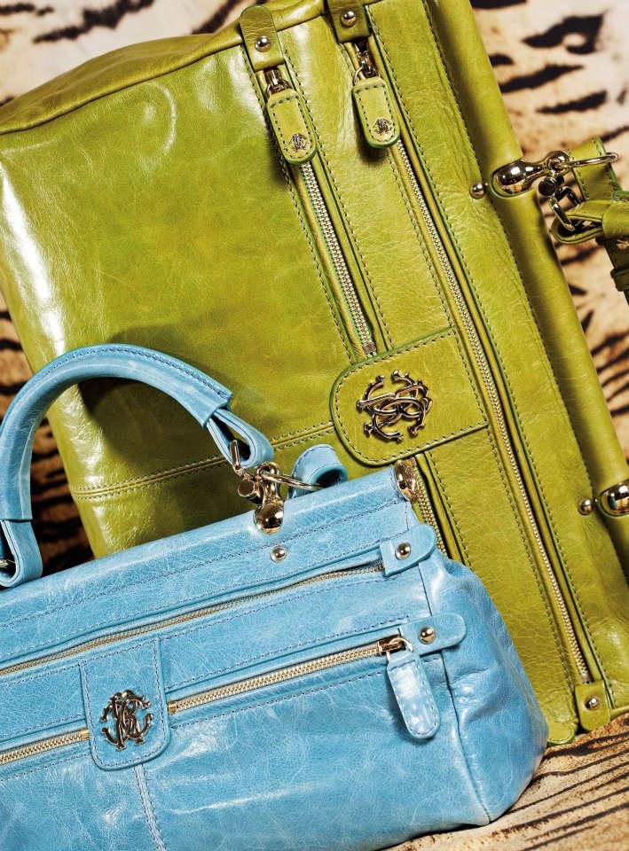 同心礼序LOGO系列 Roberto Cavalli 灵感参考图