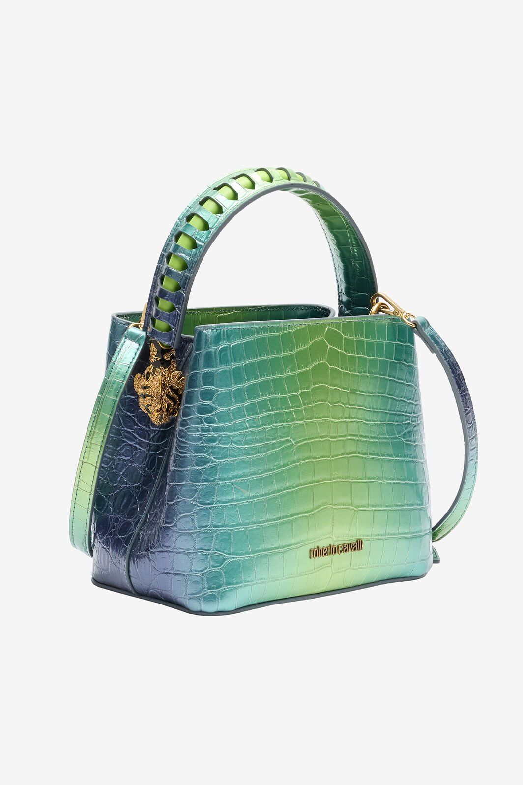 简廓圆徽LOGO系列 Roberto Cavalli 灵感参考图